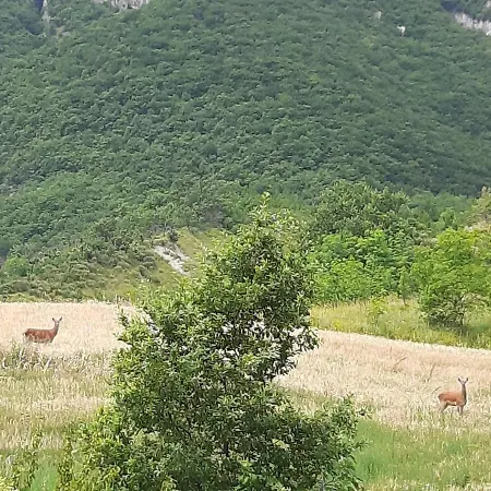 Nel Cuore Della Maiella Palombaro