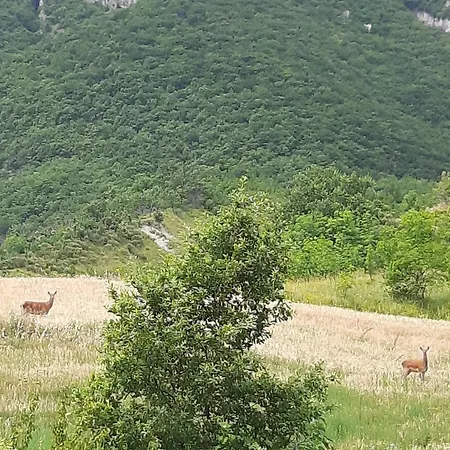 Holiday home Nel Cuore Della Maiella *