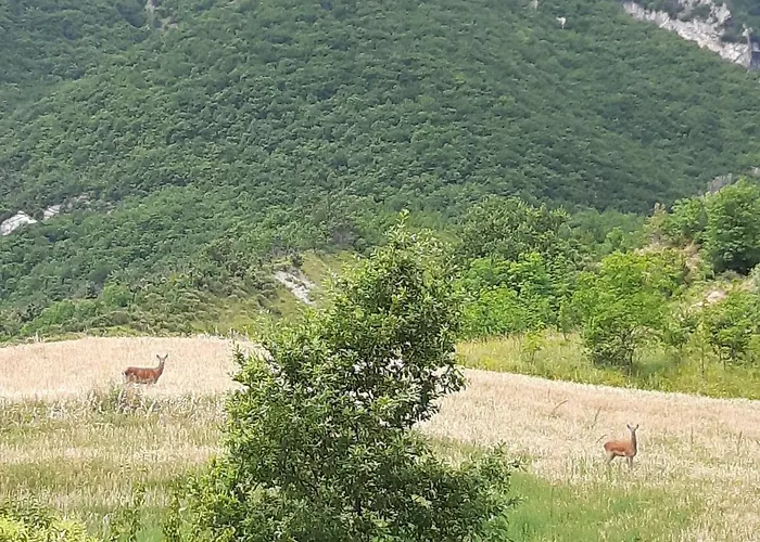 Nel Cuore Della Maiella Palombaro